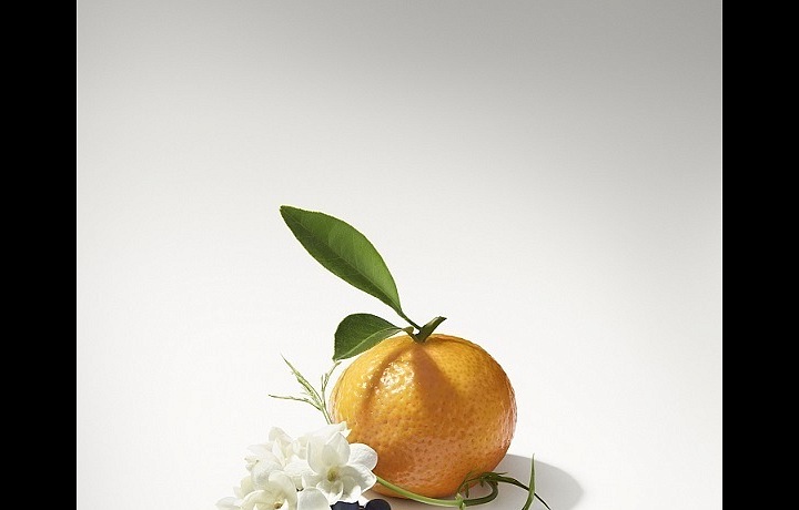 Mandarin is the main part