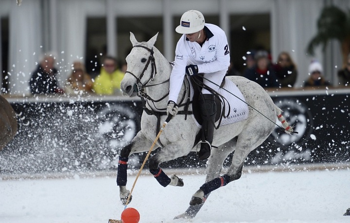 Luxurious horses and perfect riders