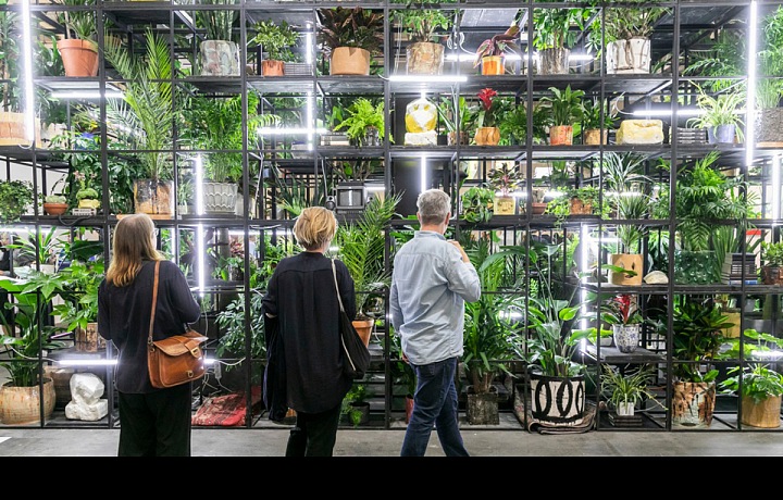 Antoine's Organ - sector Unlimited