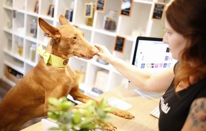 DOGG v pražských Holešovicích