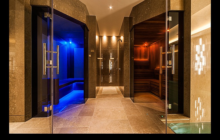 Sauna and ice bio sauna