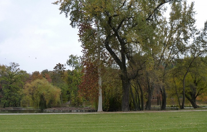 Odpočinek načerpáte v parku Stromovka