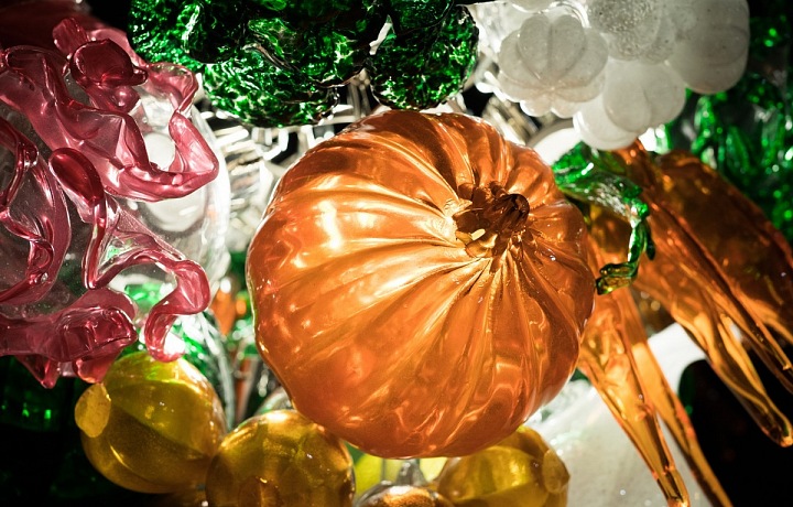 Šípek miloval barvy a světlo. 