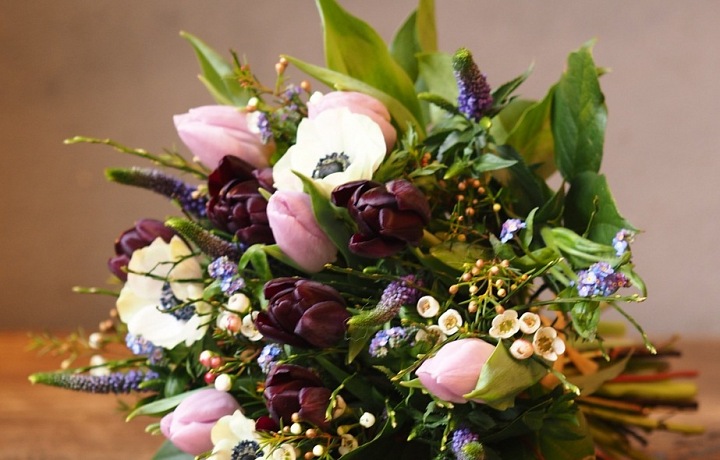 Metamorphosis Flowers