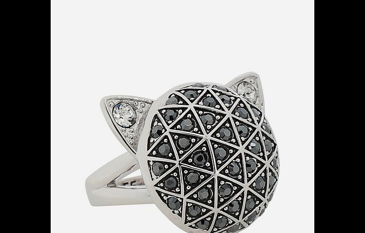 Luxurious jewellery Karl Lagerfeld