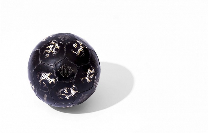 Roberto Cavalli design