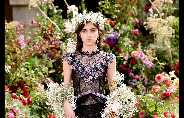 Rodarte offers luxury refined gowns.