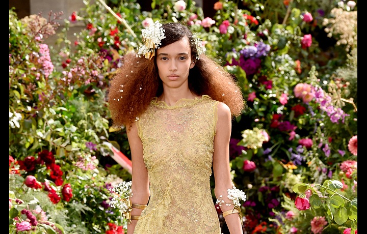 Rodarte offers luxury refined gowns.