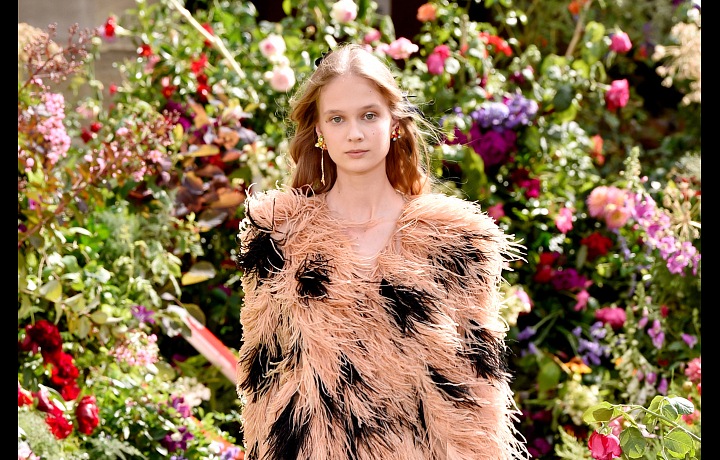 Rodarte offers luxury refined gowns.