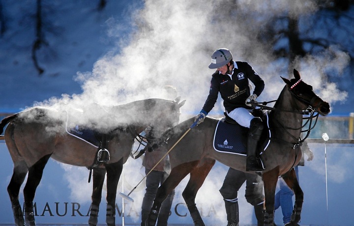 Snow polo in St. Moritz