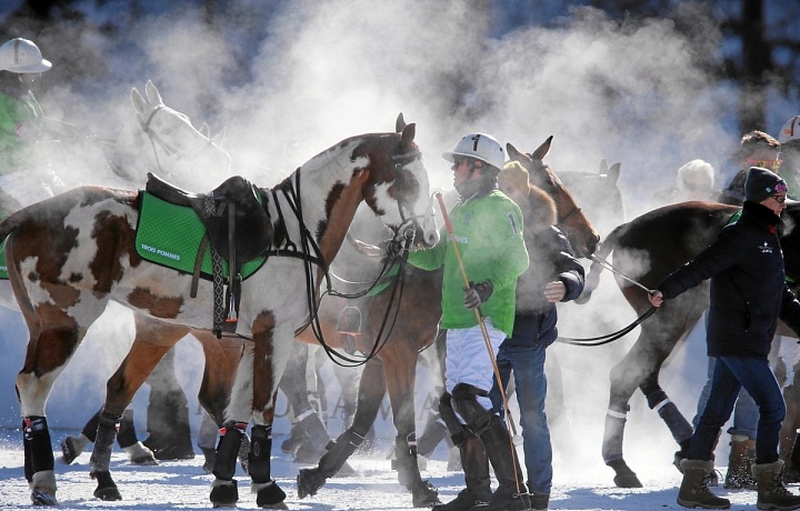 Snow polo in St. Moritz