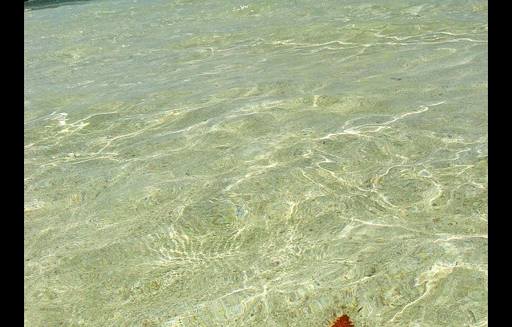 Natural Pool Isla Saona