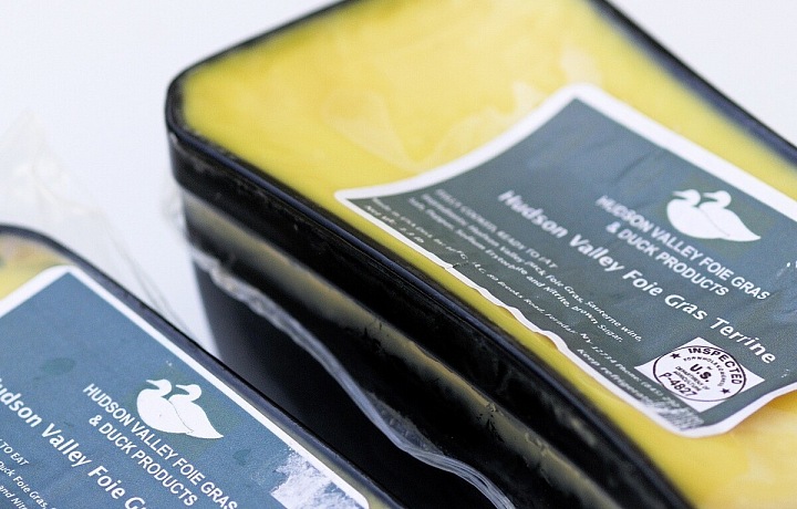 Terrine from foie gras