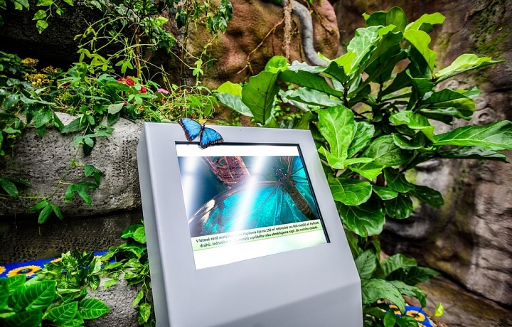 You can find out many things