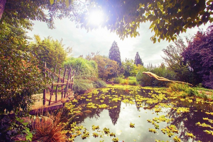 Botanická zahrada v Praze