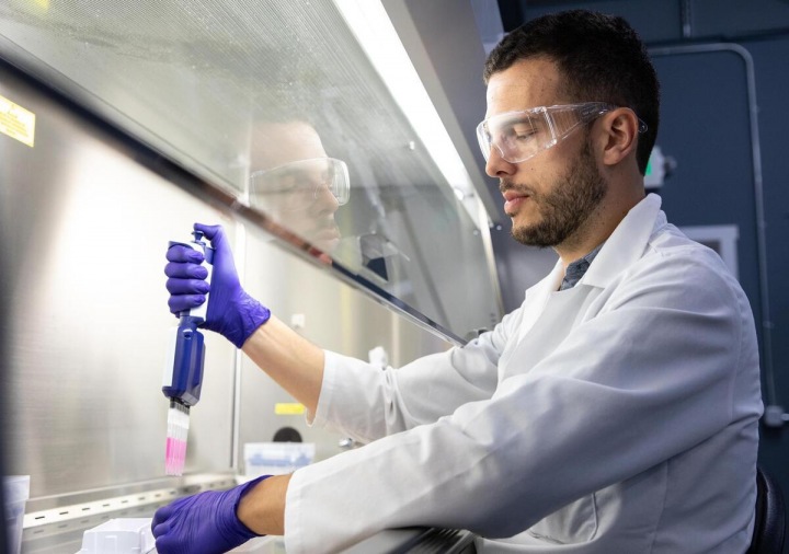 Z buňky krávy vznikne hovězí steak. 