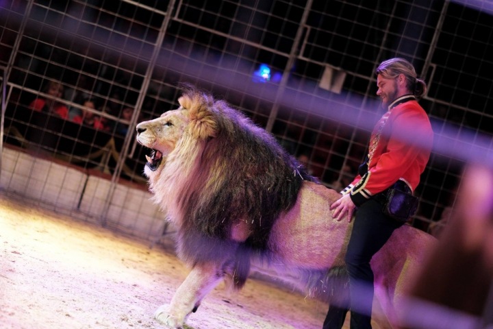 Navrátil a jeho vůdce smečky King.