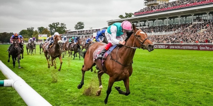 Koňské dostihy QATAR PRIX DE L