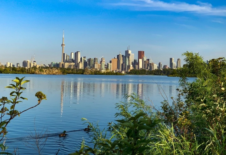 Bude Toronto novým domovem královského páru?