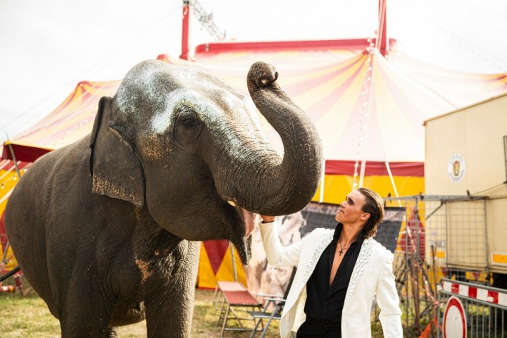Italský cvičitel a jedna z jeho slonic. 