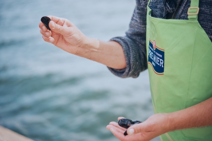 Před vařením musíme mušle zkontrolovat, musí být zavřené. 