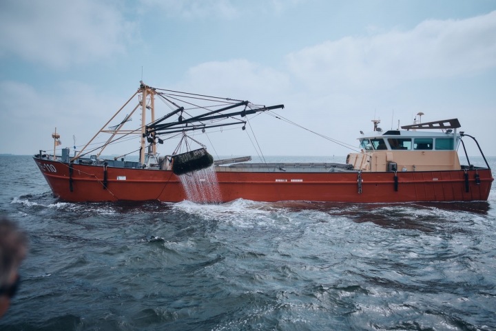 Potvory z moře vytažené...