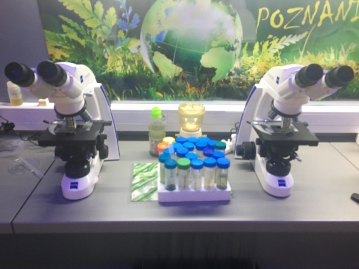 Pod mikroskopem poznáte jiný podvodní svět. 