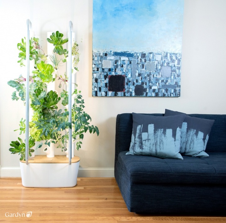 Inteligentní zahrada.