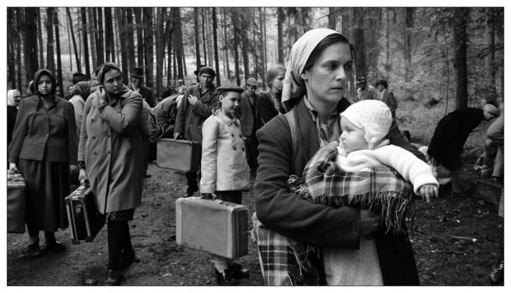 Film Krajina ve stínu