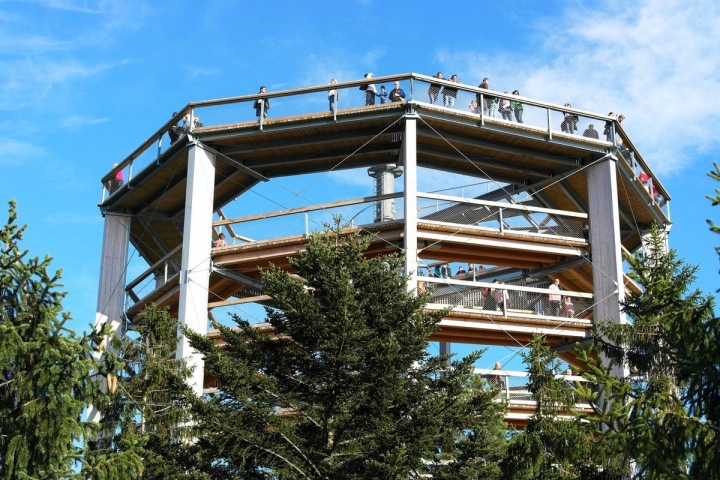 Lipno, stezka korunami stromů