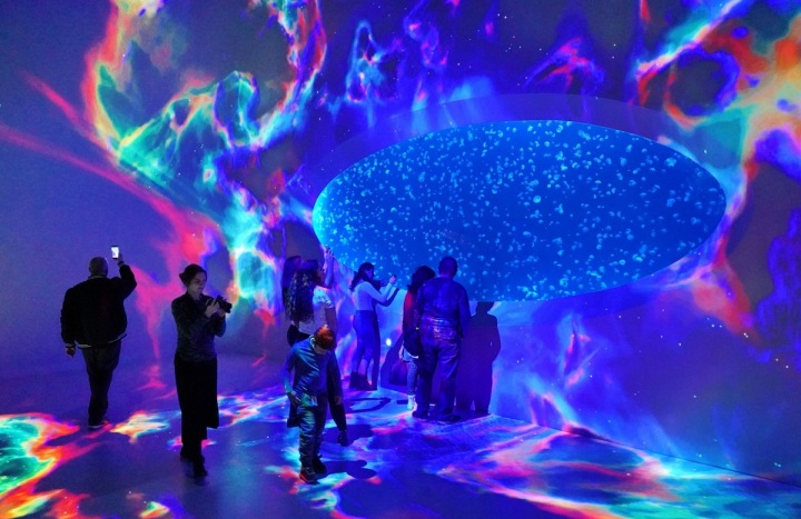 Medúzy patří mezi nejstarší živočichy světa. 