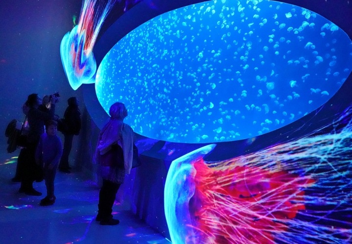 Jedním slovem nádhera. 