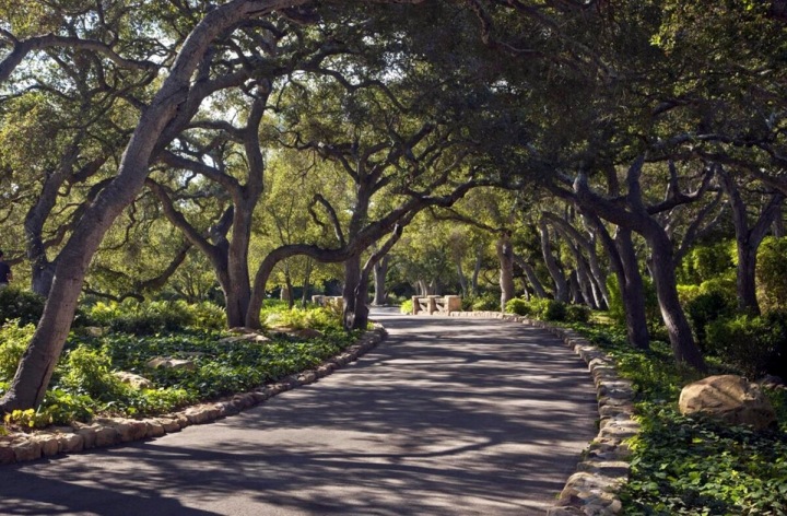 Příjezdová cesta do sídla.