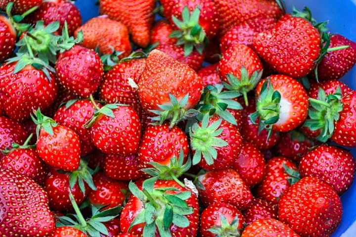 Milujete jahody? Zajeďte si pro ty nejlepší!
