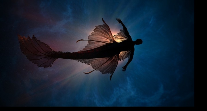 Krásy podmořské hladiny