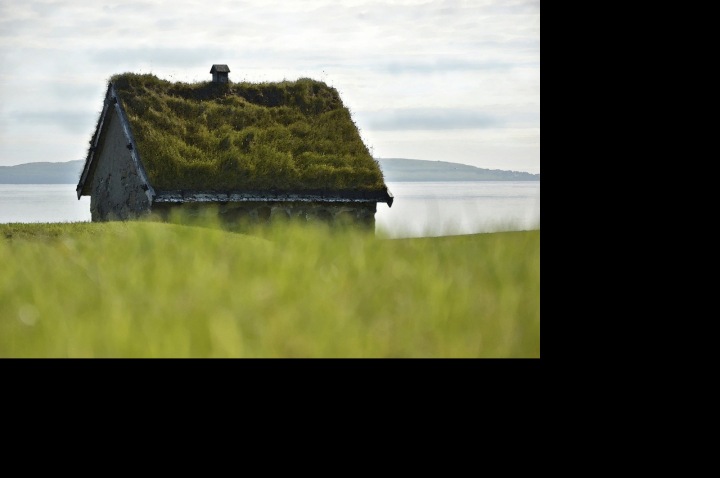 Zelené střechy zaznamenaly raketový růst.