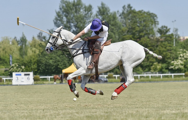 Diplomats Polo Cup Prague