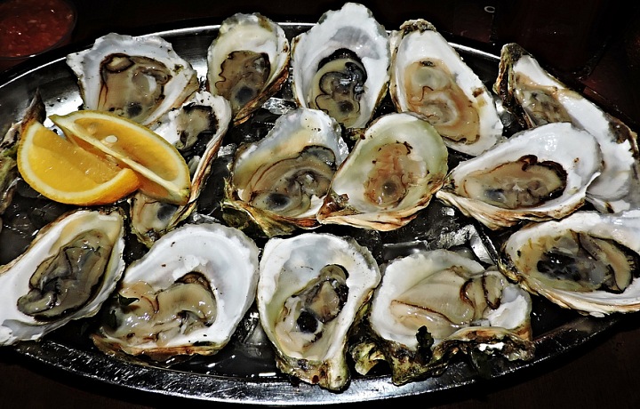 Oysters - classic serving 
