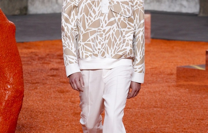 Amazing nature colours and patterns