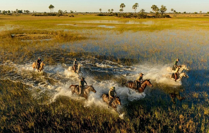 Safari v koňském sedle v deltě řeky Okavango