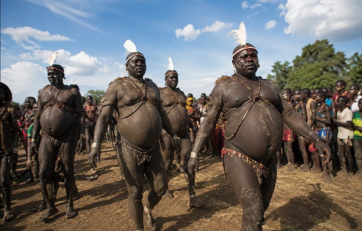 Tribe Bodi