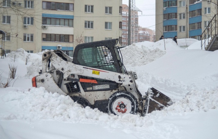 Frosts ravage Ukraine