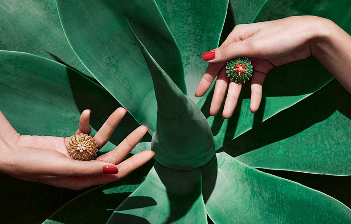 Cactus de Cartier - unique collection
