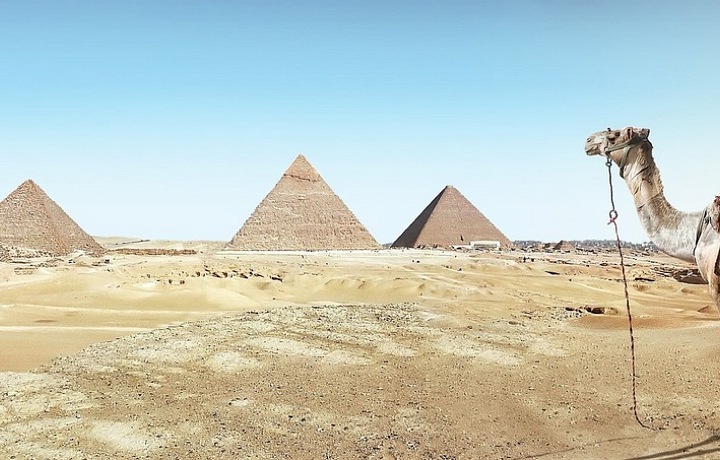 New Year's Eve with camel