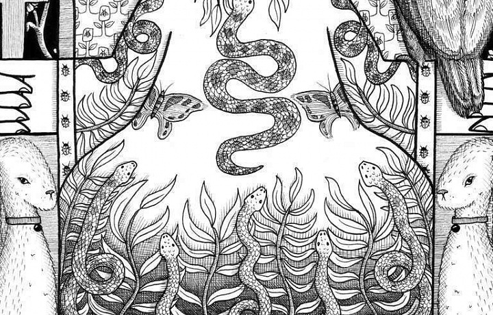 Illustrations by Jayde Fish