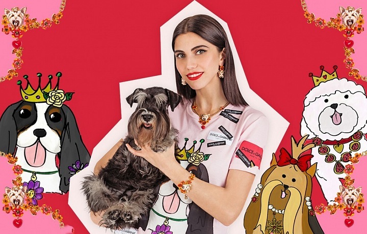 Colorful collection with dogs