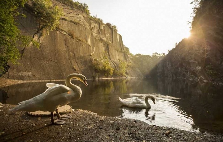 Do you believe that you are still in Prague?