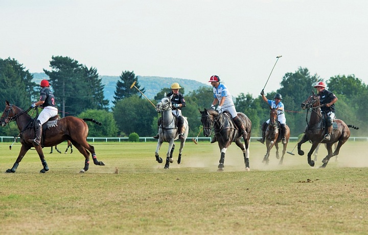 Prague Polo Cup