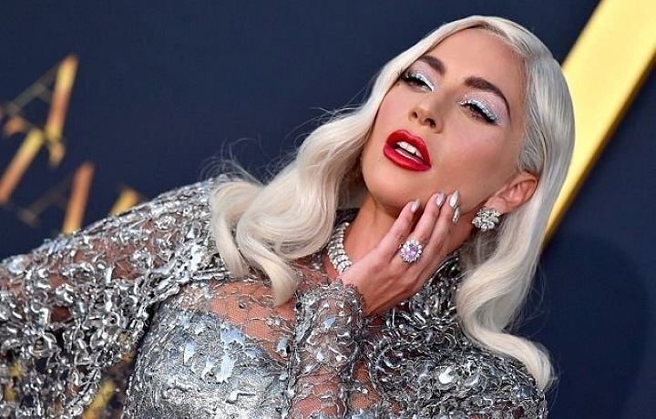 Elegant lady Lady Gaga