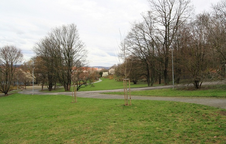 park
